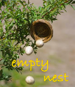 Empty Nest