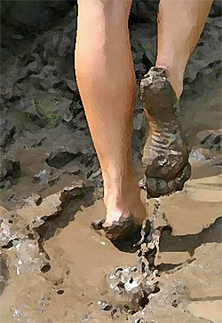 Muddy feet